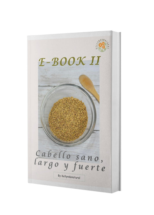 EBOOK II - Spanish